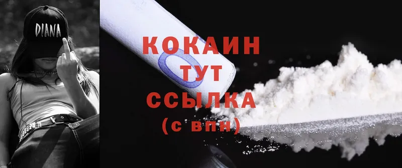 купить наркотики цена  Урюпинск  Cocaine Fish Scale 